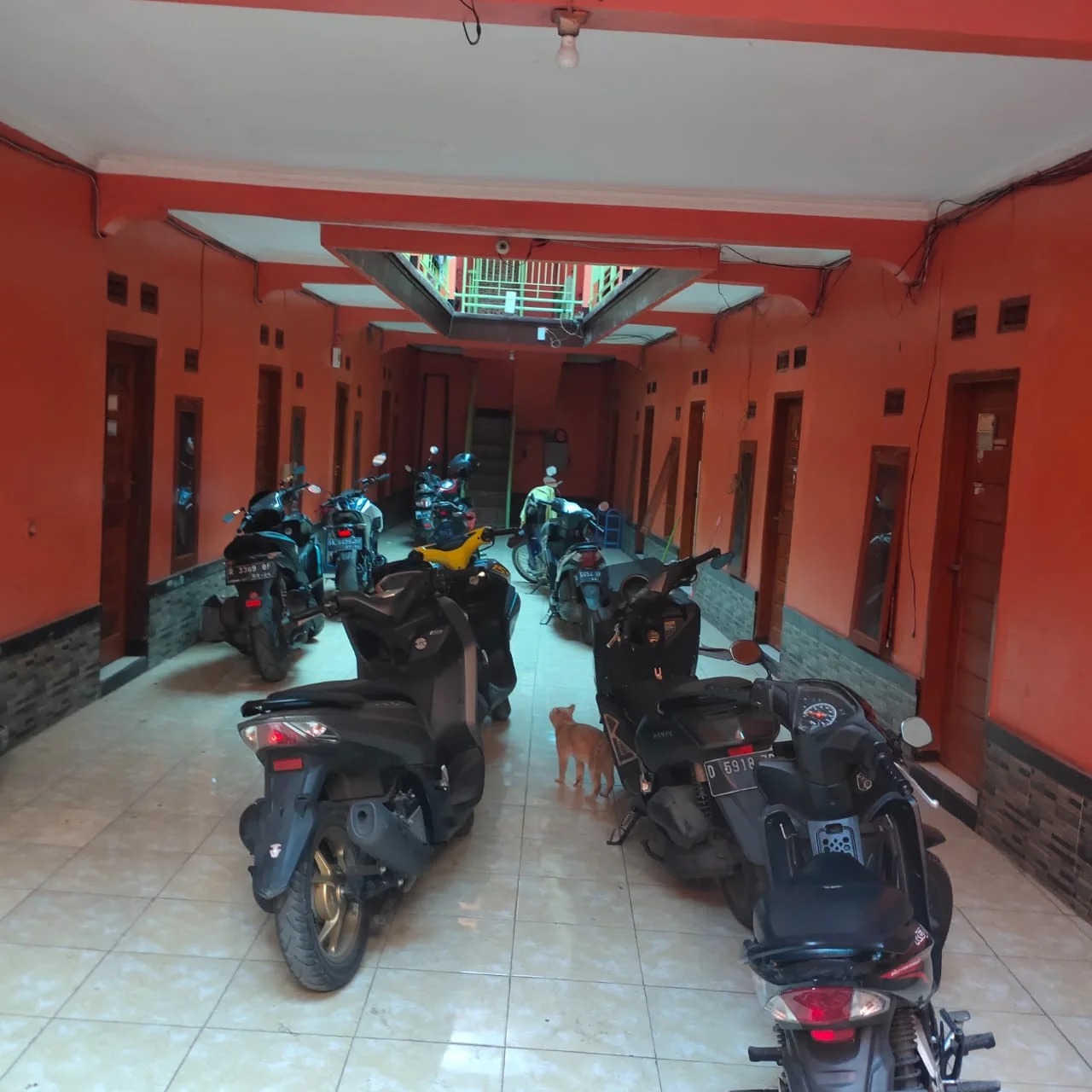 Rizkina kost 2